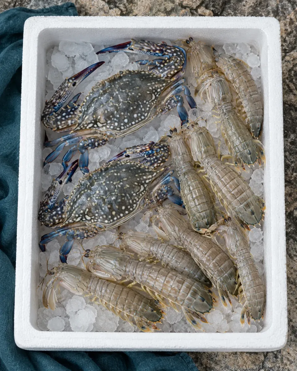 Swimming crabs, pomfret and mantis shrimp on ice