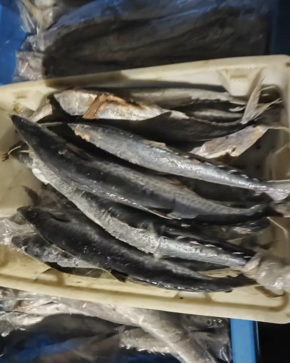 A crate of fish